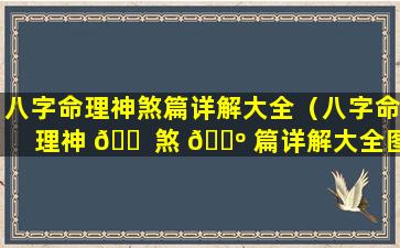 八字命理神煞篇详解大全（八字命理神 🐠 煞 🐺 篇详解大全图）